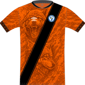 3D - Camisola Oficial Alternativa - CF Perosinho