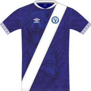 3 - Camisola Oficial Jogo HOME - CF Perosinho